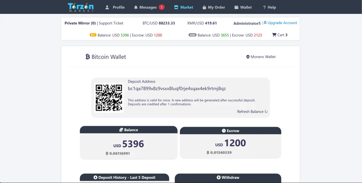 Screenshot of a TorZon Market wallet page showing a cryptocurrency balance and deposit details