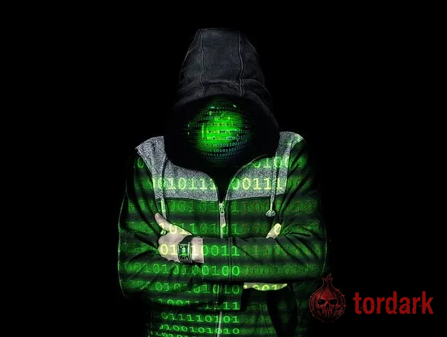 A hooded figure with arms crossed, overlaid with streams of glowing green binary code